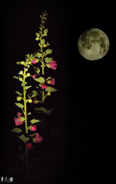 Photographie intitulée "La lune 20" par Miodrag Aubertin, Œuvre d'art originale