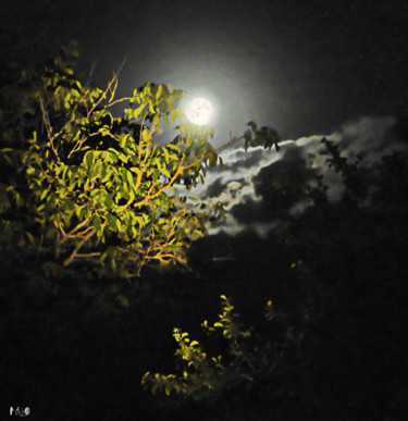 Photographie intitulée "Clair de lune 18" par Miodrag Aubertin, Œuvre d'art originale