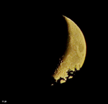 Photographie intitulée "Coucher de lune" par Miodrag Aubertin, Œuvre d'art originale