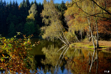 Photographie intitulée "couleurs d'automne…" par Miodrag Aubertin, Œuvre d'art originale