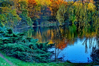 Photographie intitulée "couleurs d'automne…" par Miodrag Aubertin, Œuvre d'art originale