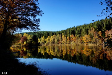 Photographie intitulée "couleurs d'automne…" par Miodrag Aubertin, Œuvre d'art originale