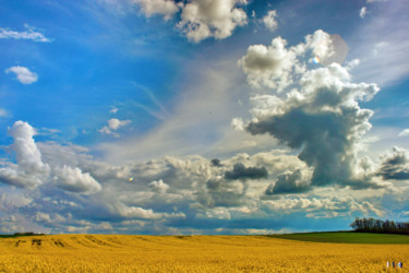 Fotografia intitulada "Nuages 76" por Miodrag Aubertin, Obras de arte originais