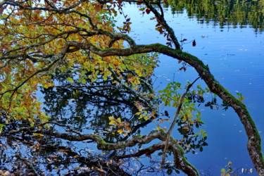 Photographie intitulée "couleurs d'automne…" par Miodrag Aubertin, Œuvre d'art originale