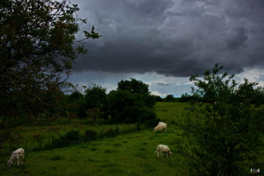 Photography titled "Nuages 88" by Miodrag Aubertin, Original Artwork