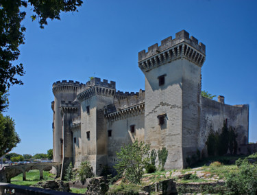 Fotografia intitolato "Château de Tarascon…" da Miodrag Aubertin, Opera d'arte originale