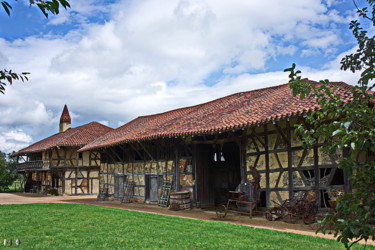 Fotografie getiteld "Ferme de la Forêt (…" door Miodrag Aubertin, Origineel Kunstwerk