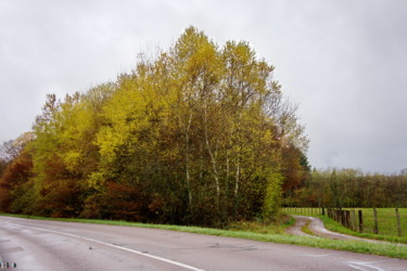 Photographie intitulée "couleurs d'automne…" par Miodrag Aubertin, Œuvre d'art originale