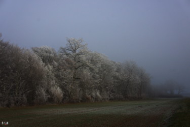 Fotografie mit dem Titel "givre à Flée 01" von Miodrag Aubertin, Original-Kunstwerk