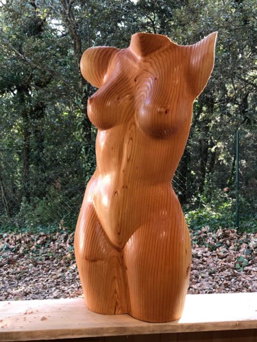 Skulptur mit dem Titel "peau de velours" von Mirèo, Original-Kunstwerk, Holz