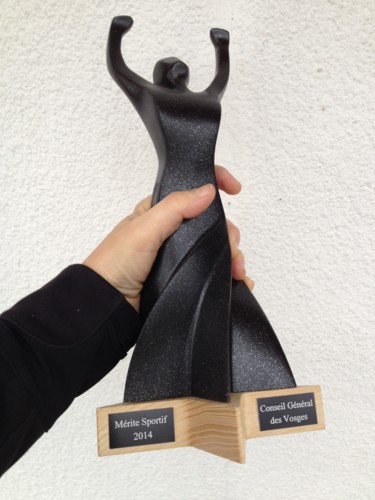 Escultura intitulada "trophée 2014" por Mirèo, Obras de arte originais