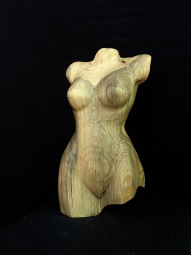 Sculpture titled "buste chateau 1" by Mirèo, Original Artwork, Wood