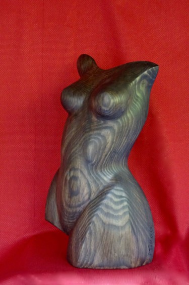 Sculpture titled "buste chateau 2" by Mirèo, Original Artwork, Wood