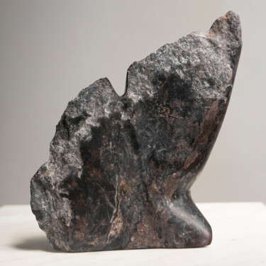 Γλυπτική με τίτλο "Ginkgo" από Mirjam De Nijs, Αυθεντικά έργα τέχνης, Πέτρα