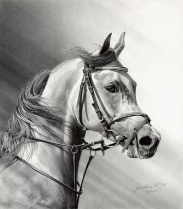 Drawing titled "ARABIAN BEAUTY" by Miro Gradinšćak, Original Artwork, Graphite Mounted on Cardboard