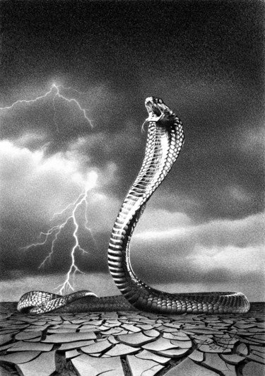 Dessin intitulée "STORM IS COMING ..." par Miro Gradinšćak, Œuvre d'art originale, Graphite Monté sur Carton