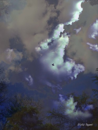 Fotografía titulada "Cielo de tormenta" por Mirta Pagano, Obra de arte original
