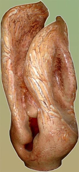 Скульптура под названием "рождение крыльев" - Михаил Таран, Подлинное произведение искусства