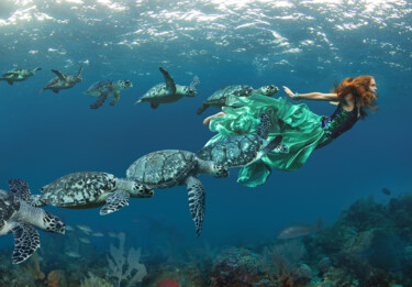 Fotografía titulada "Turtles, Special Sa…" por Miss Aniela, Obra de arte original, Fotografía digital