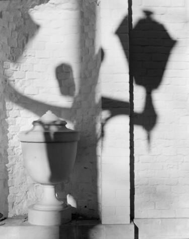 Фотография под названием "Вазон и фонарь" - Митяй Меньшой, Подлинное произведение искусства, Пленочная фотография
