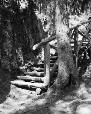 Photographie intitulée "Деревянная лестница…" par Митяй Меньшой, Œuvre d'art originale, Photographie argentique