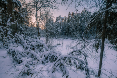 Photography titled "Winter" by Mikhail Kapychka, Original Artwork, Digital Photography
