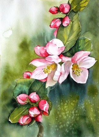 Peinture intitulée "Fleurs de Pommier" par Marie-Jeanne Bronzini, Œuvre d'art originale, Aquarelle