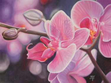 Peinture intitulée "Orchidée" par Marie-Jeanne Fawer, Œuvre d'art originale, Pastel