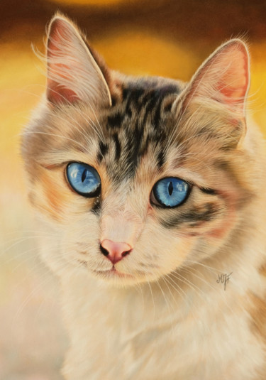 Painting titled "Missy" by Marie-Jeanne Fawer, Original Artwork, Pastel