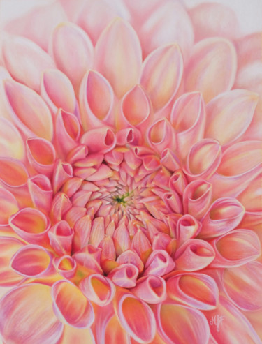 Peinture intitulée "Dahlia rose" par Marie-Jeanne Fawer, Œuvre d'art originale, Pastel
