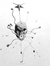 Zeichnungen mit dem Titel "Scream 2" von Mkarahan, Original-Kunstwerk