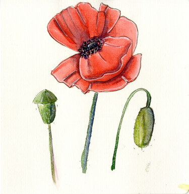 Painting titled "Poppies" by Mkate, Original Artwork, Watercolor