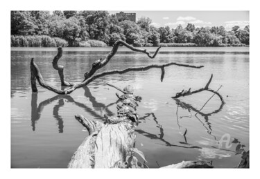 Фотография под названием "Lake" - Michaël B. (mkb_9t), Подлинное произведение искусства, Цифровая фотография