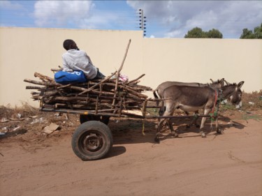 摄影 标题为“Donkey Cargo, Photo…” 由Jafeth Moiane, 原创艺术品, 数码摄影