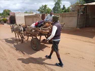 Фотография под названием "Donkey transport" - Jafeth Moiane, Подлинное произведение искусства, Цифровая фотография
