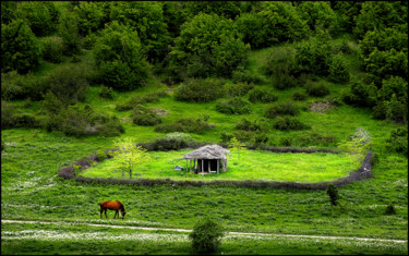 Photography titled "Spring with a horse…" by Mladen Milanov, Original Artwork