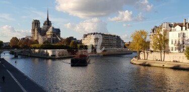 Fotografia intitolato "Notre-Dame de Paris" da Marie-Louise Trichet, Opera d'arte originale, Fotografia non manipolata
