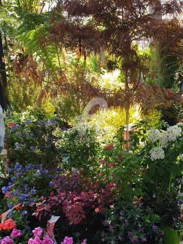 Fotografía titulada "Quai aux fleurs" por Marie-Louise Trichet, Obra de arte original, Fotografía no manipulada