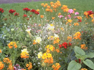 Photographie intitulée "Fleurs et Jardins" par Marie-Louise Trichet, Œuvre d'art originale, Photographie non manipulée