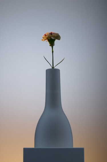 Photographie intitulée "A captured flower" par Mmiri, Œuvre d'art originale, Photographie numérique
