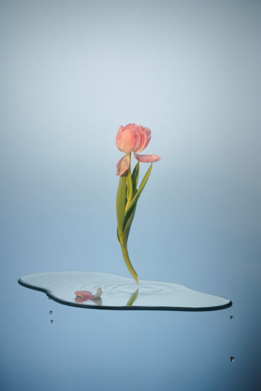 Fotografie getiteld "Floating" door Mmiri, Origineel Kunstwerk, Digitale fotografie