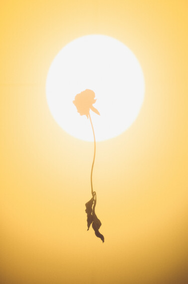 Фотография под названием "Burned by the sun" - Mmiri, Подлинное произведение искусства, Цифровая фотография