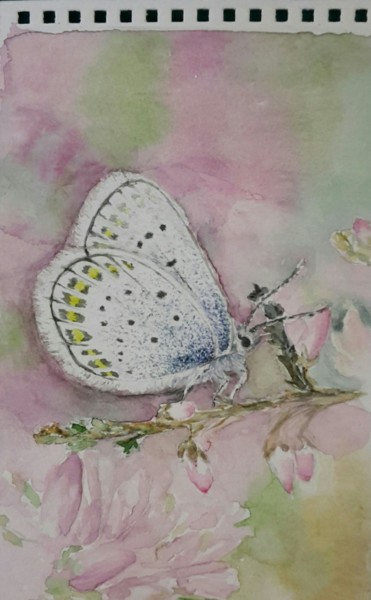 Painting titled "the butterfly" by Fairytale.My98, Original Artwork, Watercolor