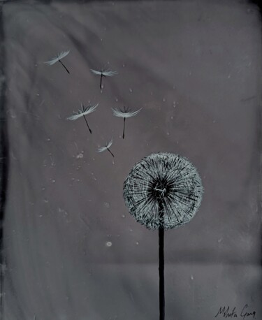 绘画 标题为“Delicate Wishes” 由Mohita Garg, 原创艺术品, 墨