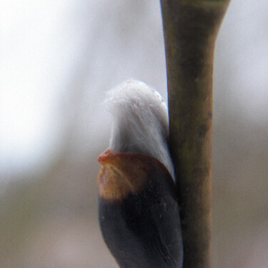 Mona.B Profile Picture Large