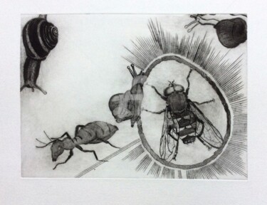 Gravures & estampes intitulée "Une mouche, une fou…" par Mona Bessaa, Œuvre d'art originale, Gravure