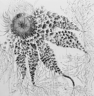 Algue à bulbes Gravures & estampes intitulée "Algue à bulbes" par Mona Bessaa, Œuvre d'art originale, Eau-forte