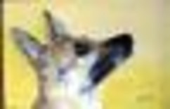 Peinture intitulée "bora, chien berger" par Mona, Œuvre d'art originale, Huile