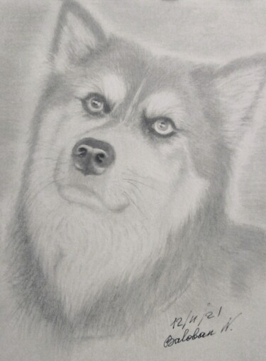 Desenho intitulada "Un chien qui a la c…" por Nadège Baloban, Obras de arte originais, Lápis