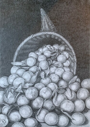 Drawing titled "Corne d'abondance" by Monica Barbarino, Original Artwork, Pencil